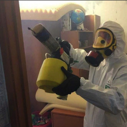 Уничтожение клопов в квартире. Нижнеудинск
